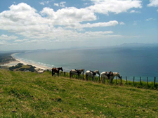 New Zealand-North Island-Warrior Trail